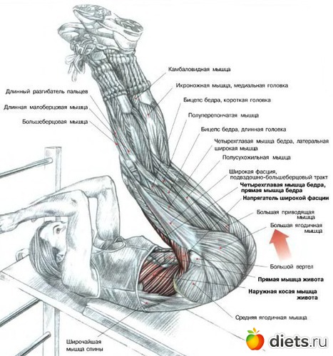 24 ����: �������� ����������