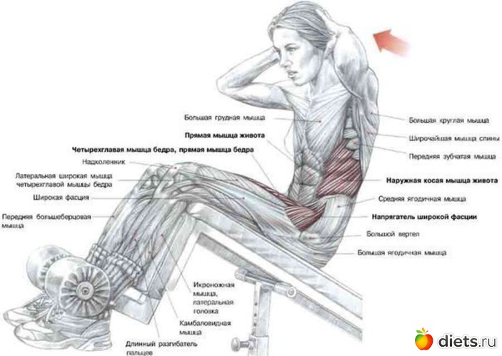 26 ����: �������� ����������