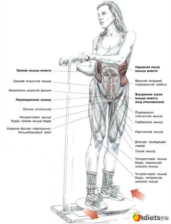 29 ����: �������� ����������