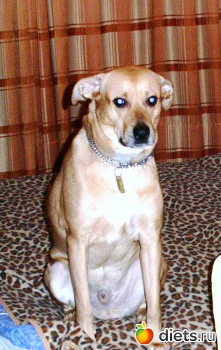 ��� ��� - 2, ������: �����-�����.