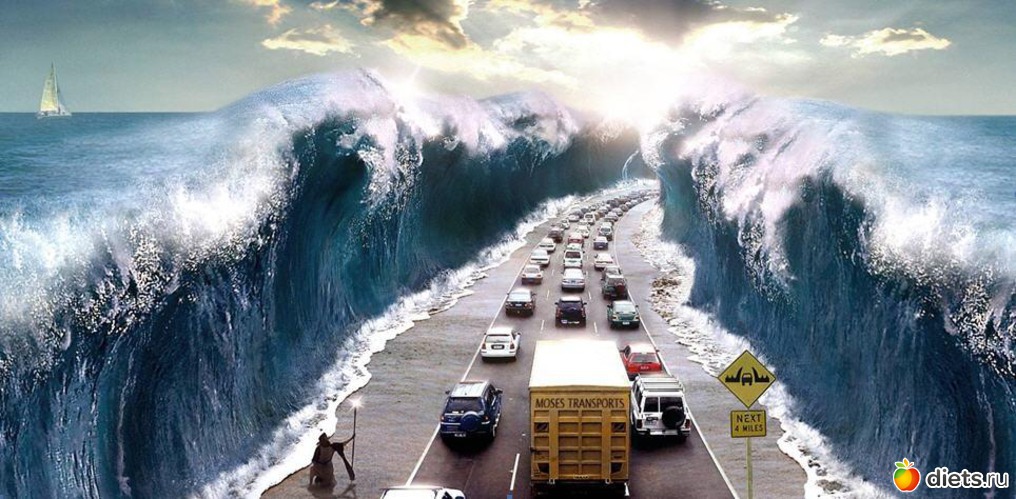 13 фото: Всяко разно