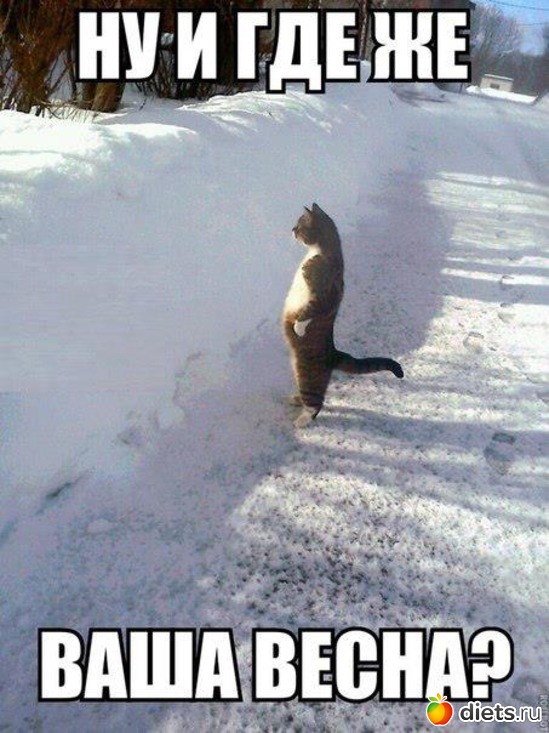 1 ����: ����� ������ � ������ �����