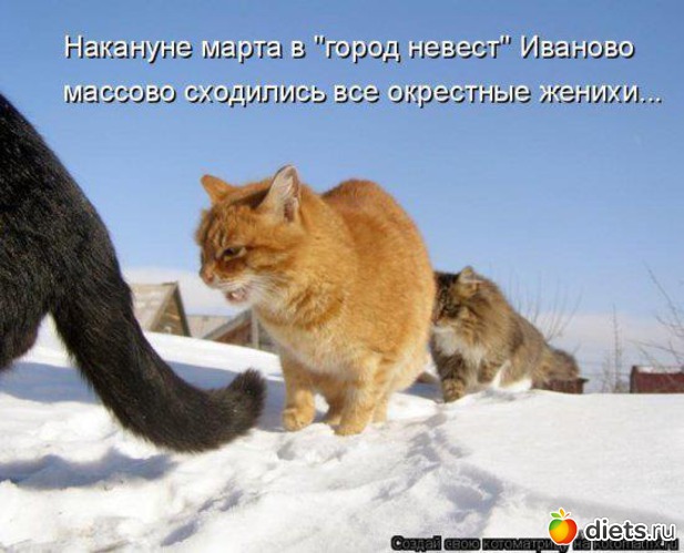 2 ����: ����� ������ � ������ �����