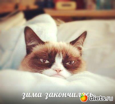 ����� ������ � ������ �����