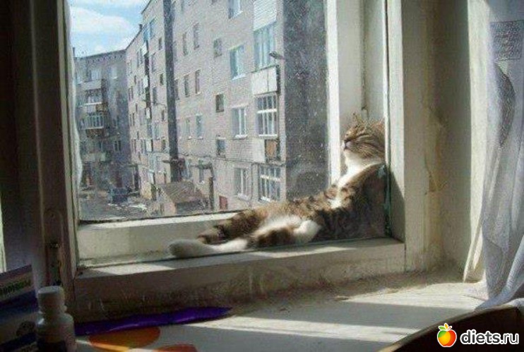 5 ����: ����� ������ � ������ �����