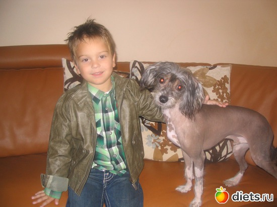 6 фото: Chinese Chrested (Kitajskaya xoxlataya)