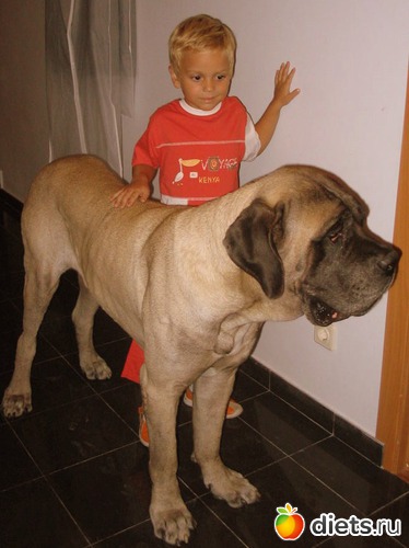 14 фото: любимчики