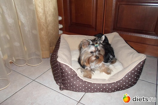 1 ����: ��� ���