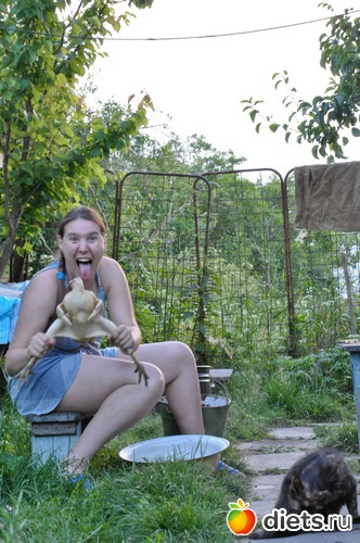 ���� 2012�., ������: �����