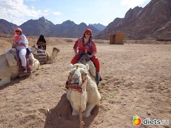 3 ����: �����