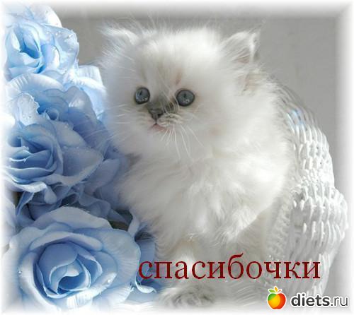 картинки и открытки