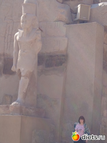 1 ����: �����