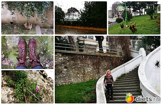 9 ����: ��������� �������