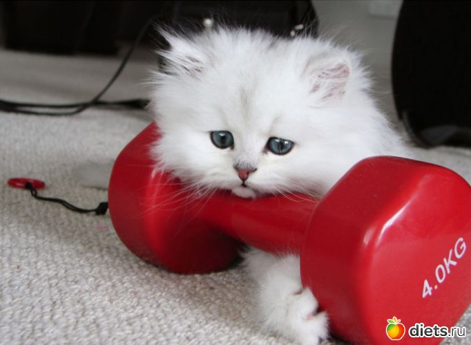 42 фото: рназное