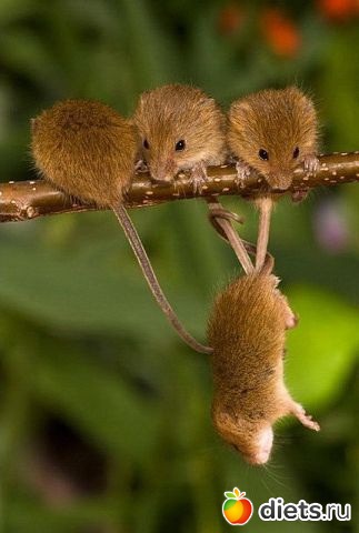 �������