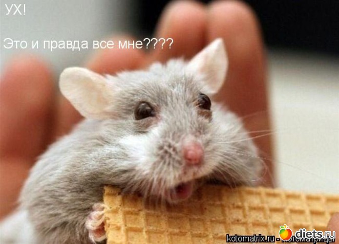 3 ����: �������