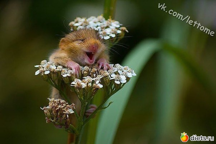 4 ����: �������