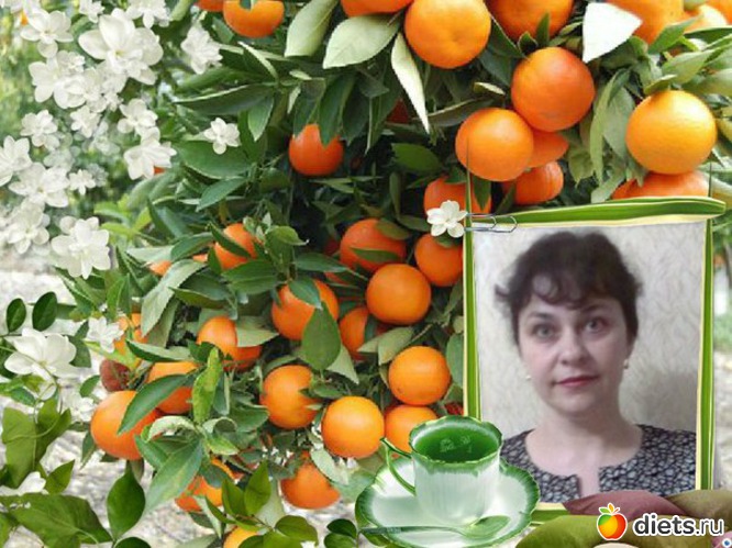 3 ����: ... � ����� �...