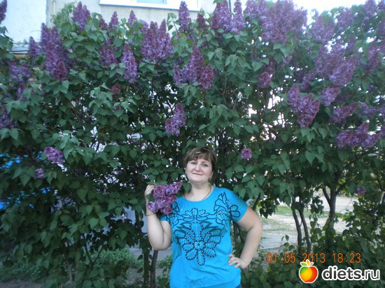 5 ����: ����� 2013