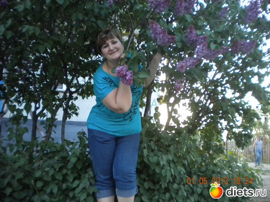 6 ����: ����� 2013