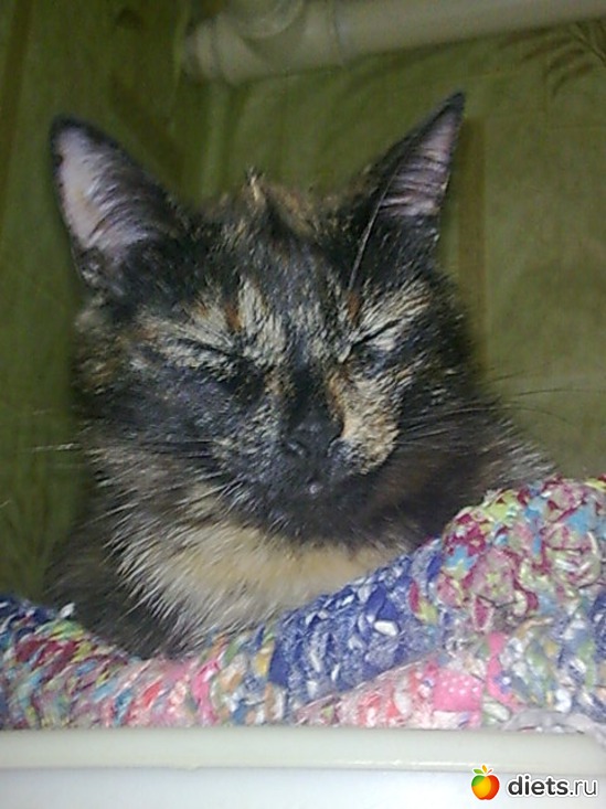  .               .         .  2 , :     .