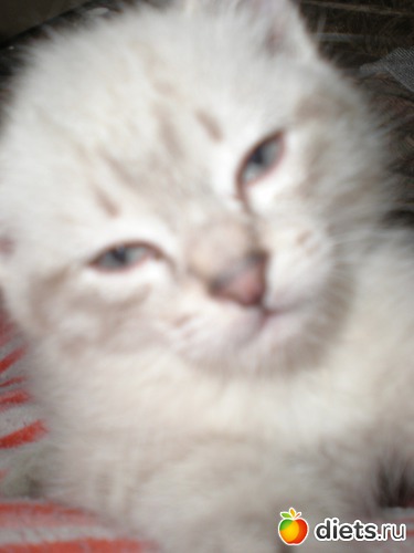 3 ����: �����