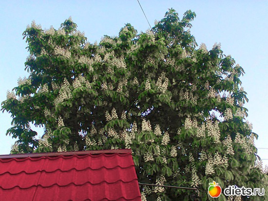 22 ����: �����-����-����� 2013 - 2015