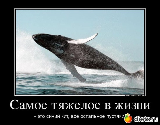 ����� ������� � ����� ��� ����� ���, ������: �������� ��������