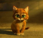 Что делать с кошкой?