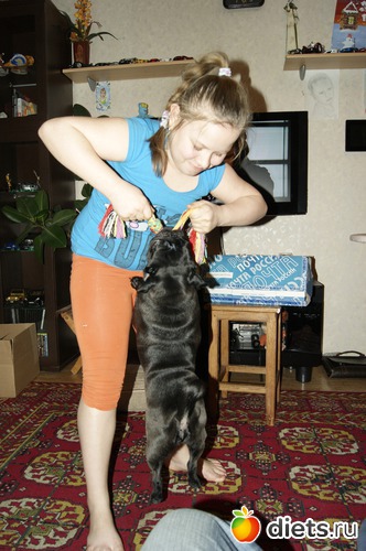 1 ����: ��� �������� �������.....