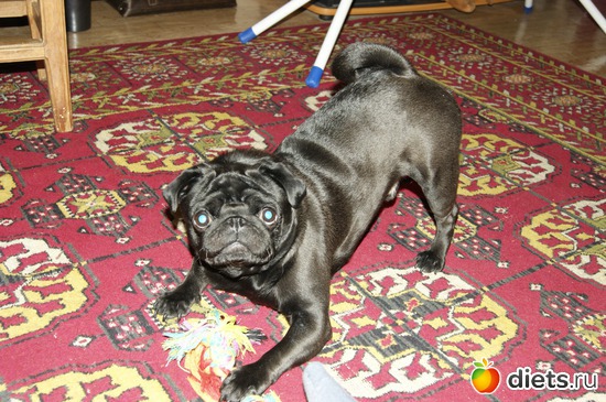 2 ����: ��� �������� �������.....