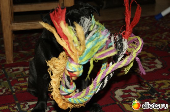 3 ����: ��� �������� �������.....