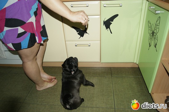 4 ����: ��� �������� �������.....