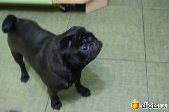 5 ����: ��� �������� �������.....