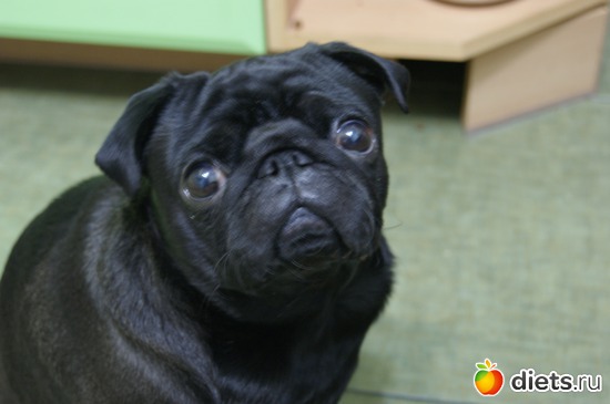 6 ����: ��� �������� �������.....