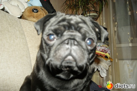 7 ����: ��� �������� �������.....