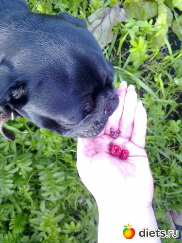 8 ����: ��� �������� �������.....