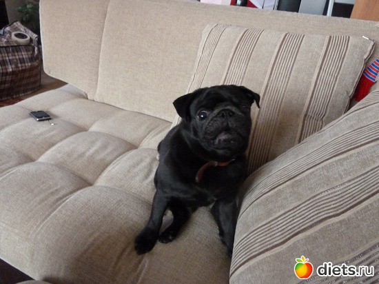 9 ����: ��� �������� �������.....