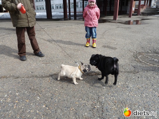 10 ����: ��� �������� �������.....