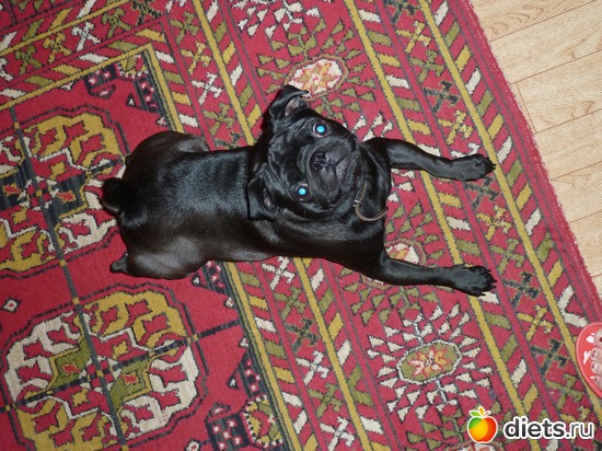 11 ����: ��� �������� �������.....