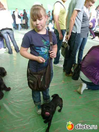 12 ����: ��� �������� �������.....