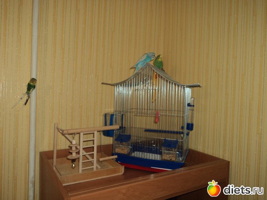 5 ����: ���� �������