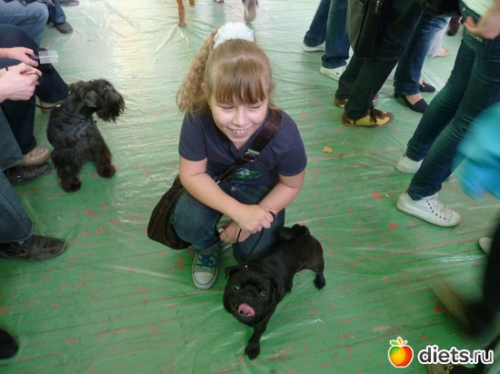 13 ����: ��� �������� �������.....