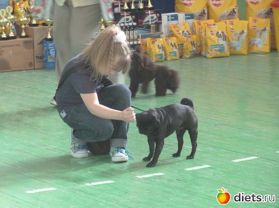 14 ����: ��� �������� �������.....