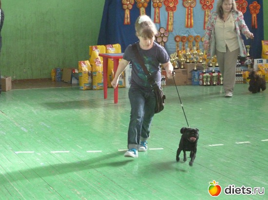 15 ����: ��� �������� �������.....