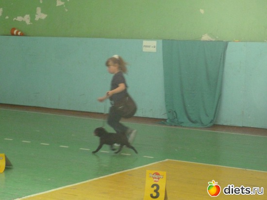 16 ����: ��� �������� �������.....