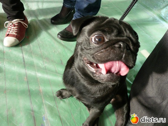 18 ����: ��� �������� �������.....