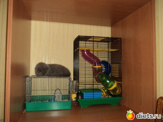 6 ����: ���� �������