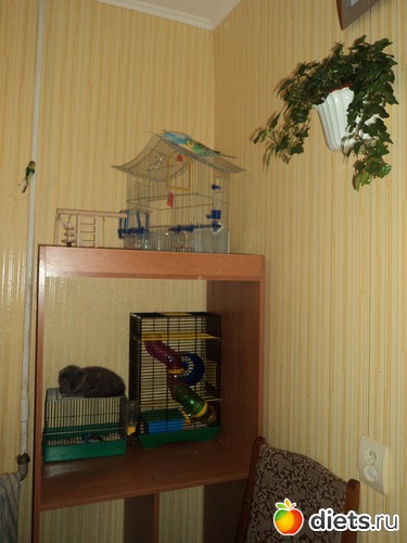 7 ����: ���� �������