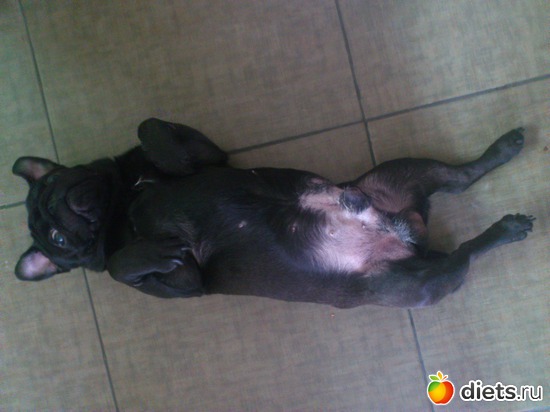 19 ����: ��� �������� �������.....